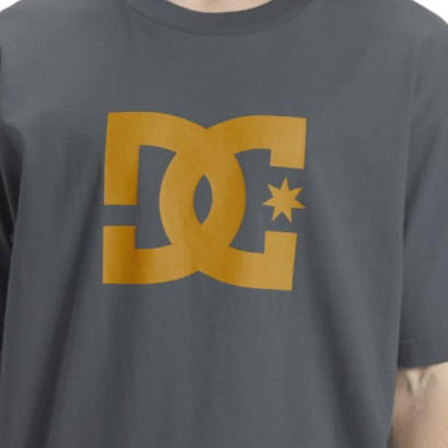 Koszulka turystyczna męska DC Shoes Star 5/5