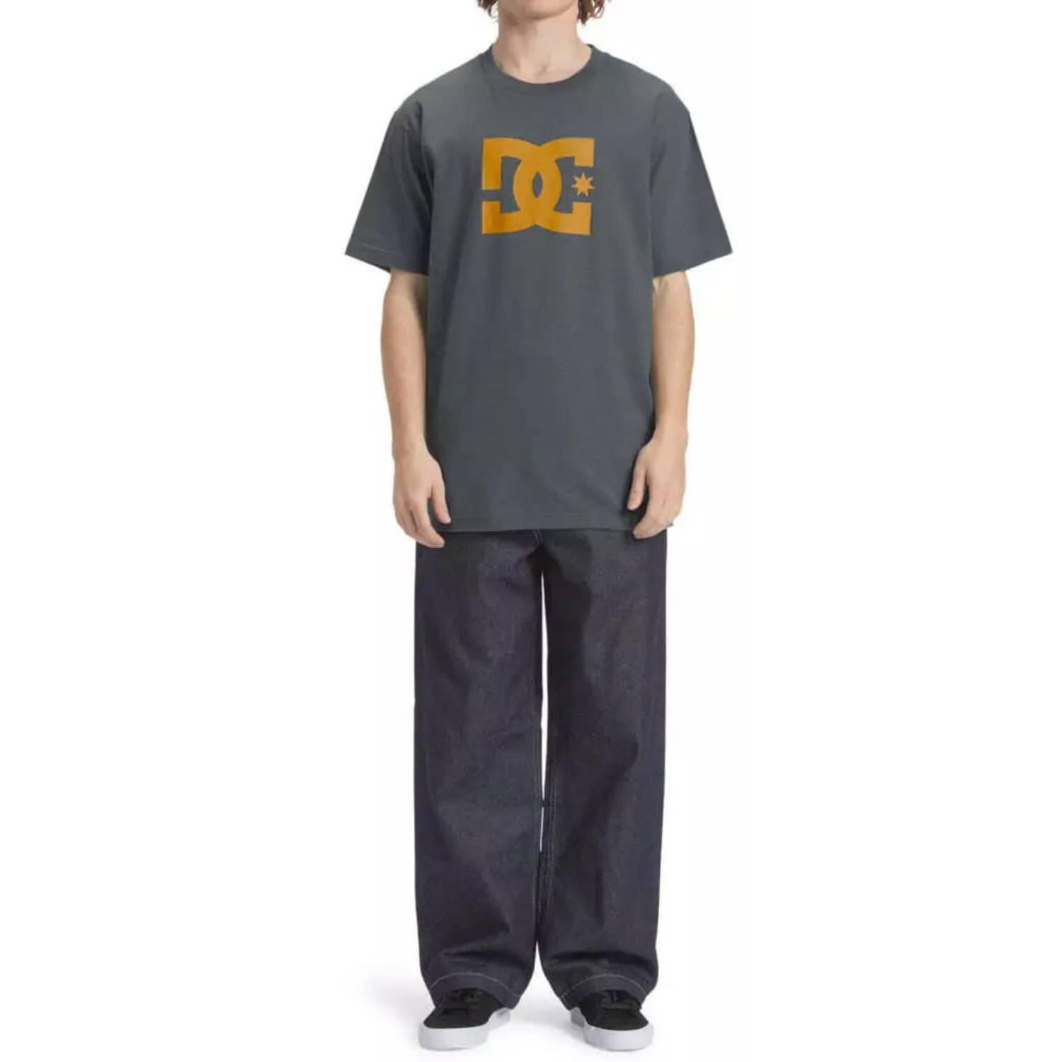 Koszulka turystyczna męska DC Shoes Star 4/5