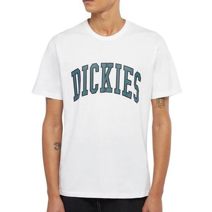T-shirt Blanc Homme Dickies Aitkin DK0A4X9FJ971