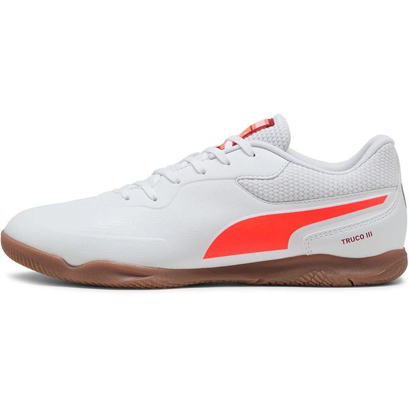 PUMA picture