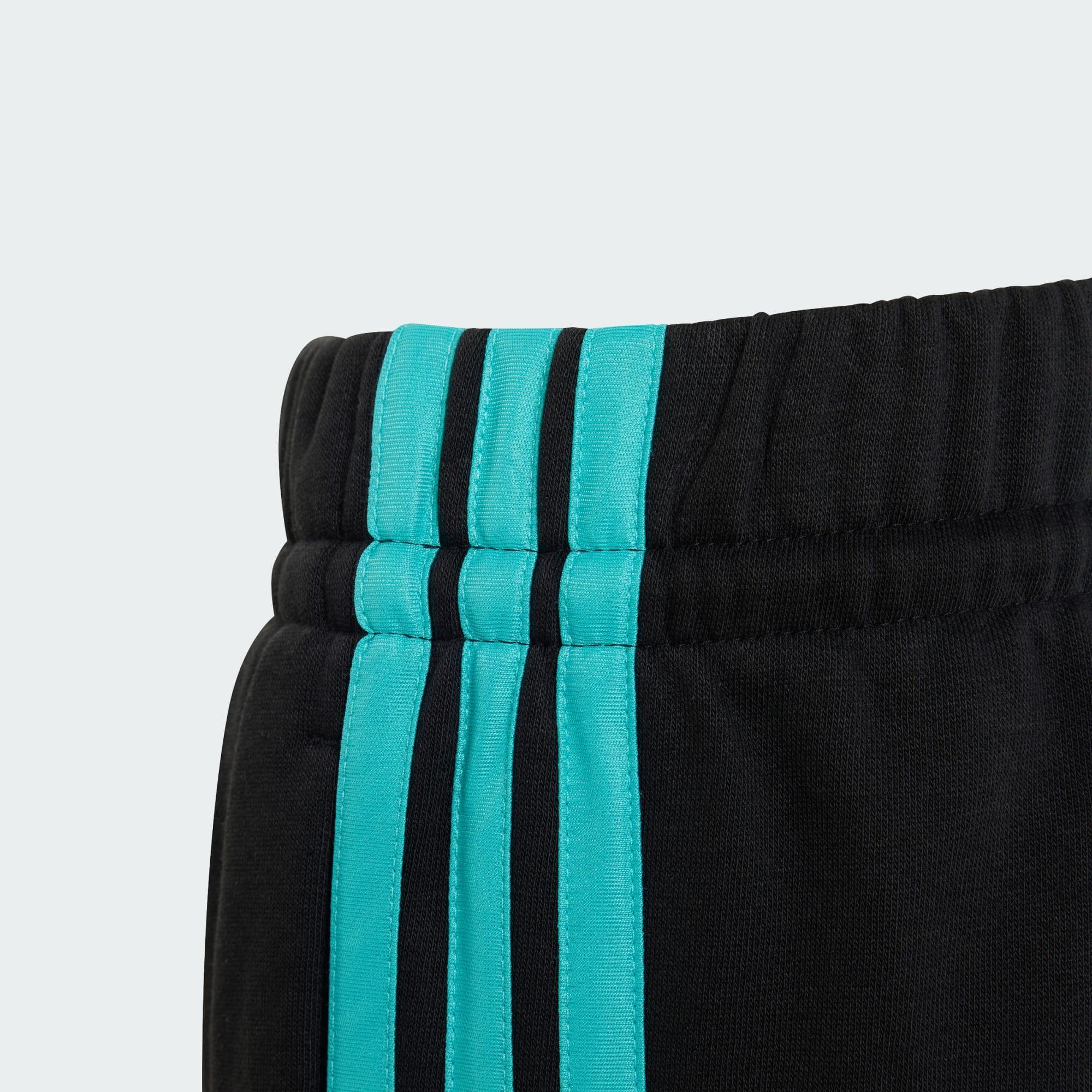 PANTALONI MERCEDES-AMG PETRONAS FORMULA 1 TEAM DNA 5/5