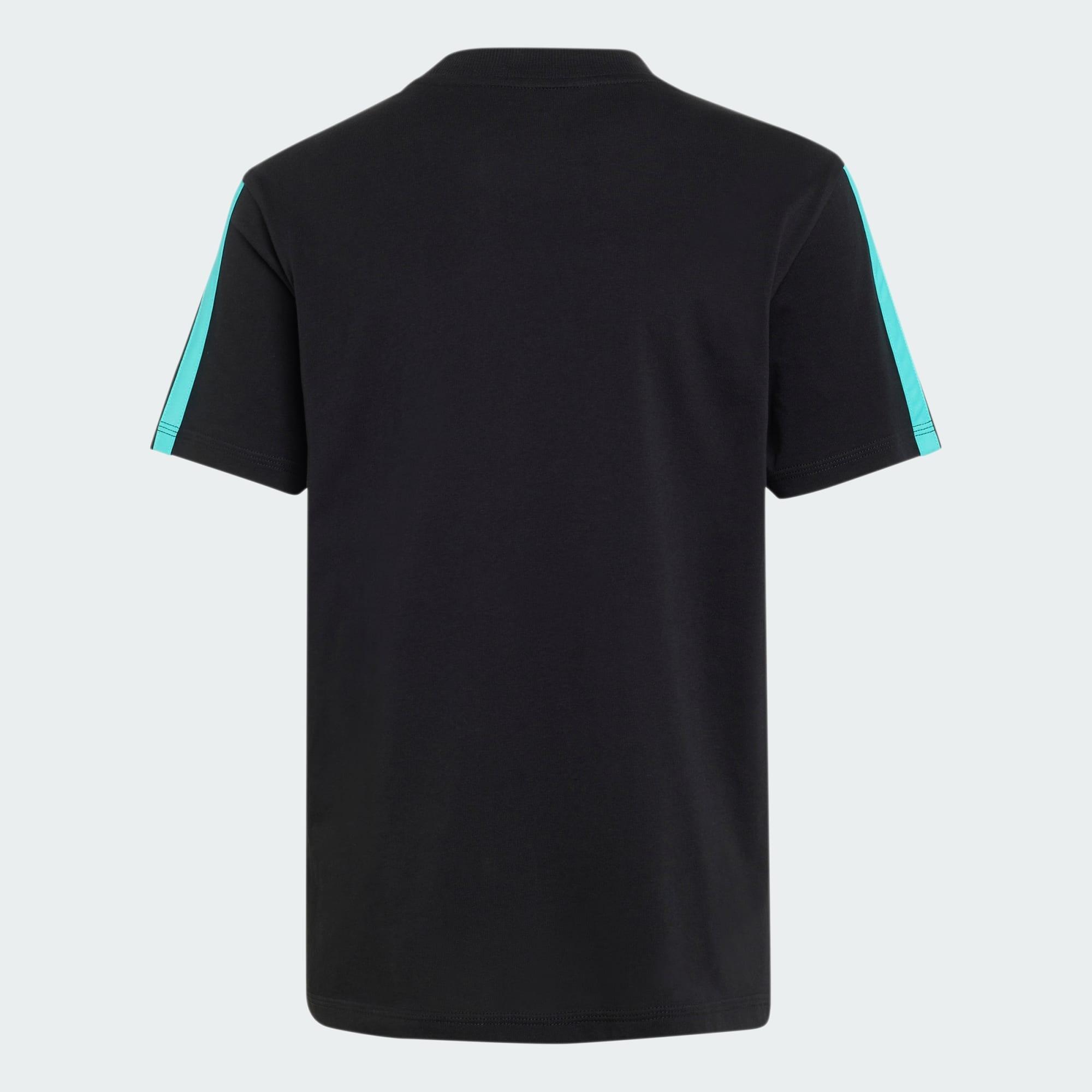 T-SHIRT MERCEDES-AMG PETRONAS FORMULA 1 TEAM DNA 4/5