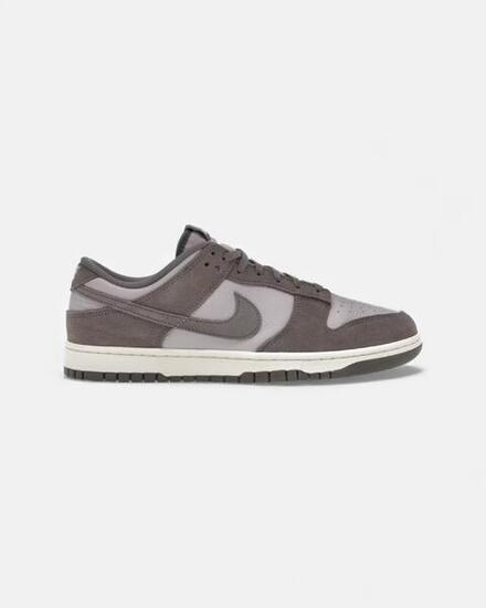 Nike Dunk Low Platinum Violet Cave Stone