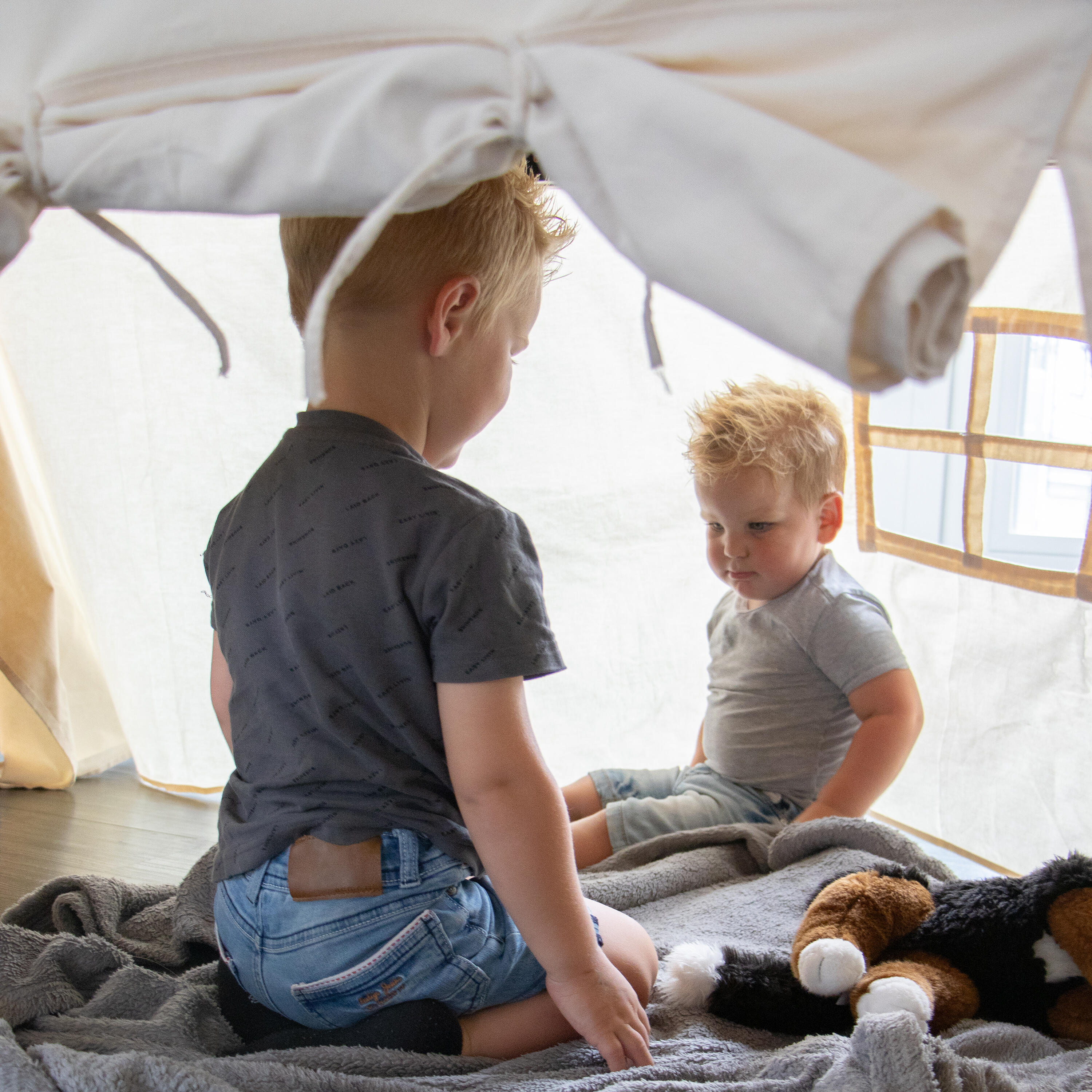 Sunny Nova Tenda da tavolo in cotone | 3 finestre 360 x 260 x 100 cm, Crema 4/7