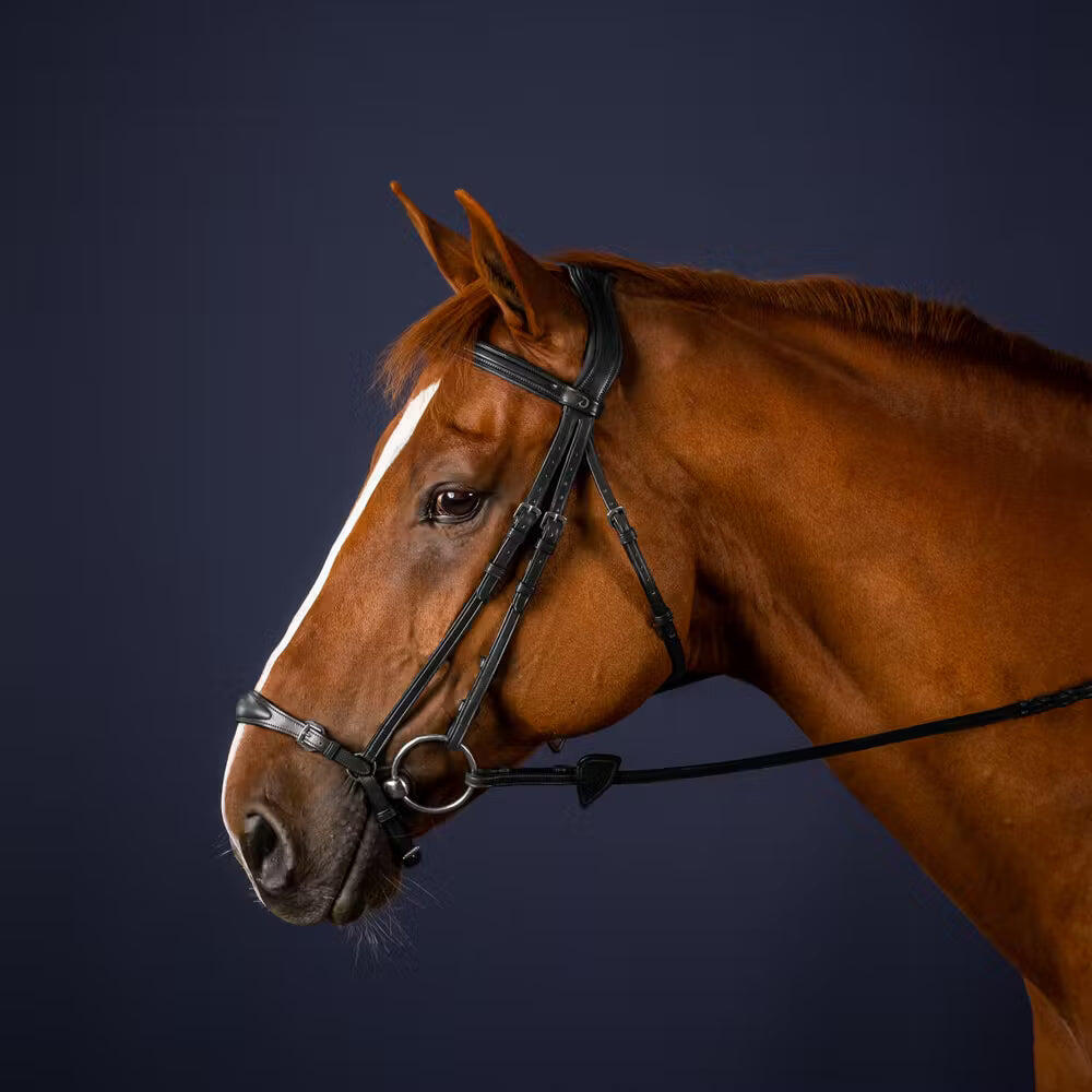 Briglia da equitazione anatomica con nasello regolabile Dy'on 3/4