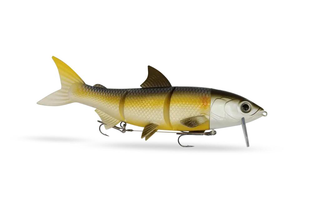 FISHINGGHOST picture