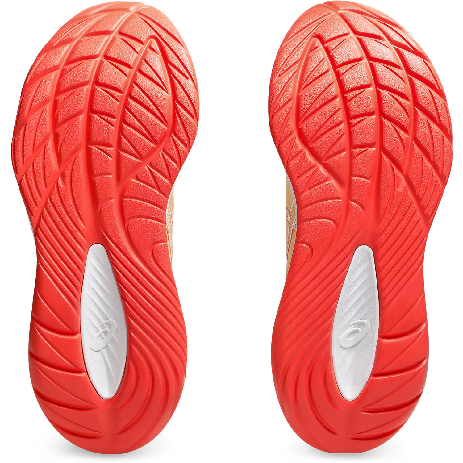 Chaussures running femmes Asics Gel-cumulus 27 4/5