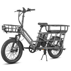 Vélo électrique Fafrees FF20 CUV Longtail, 2 batteries 12 Ah, 250 W