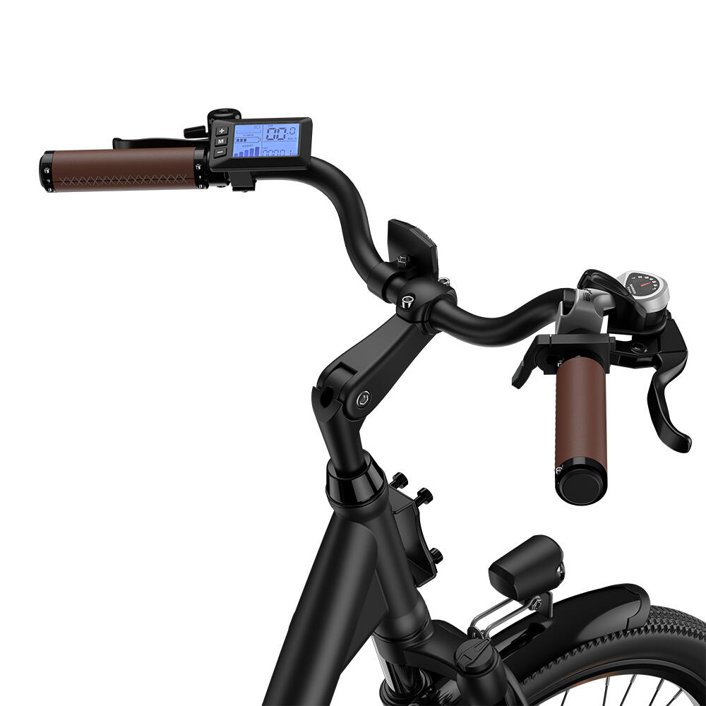 Fafrees F26 Lasting E-Bike mit 250-W-Motor und 36-V-Akku (25 Ah) 4/7
