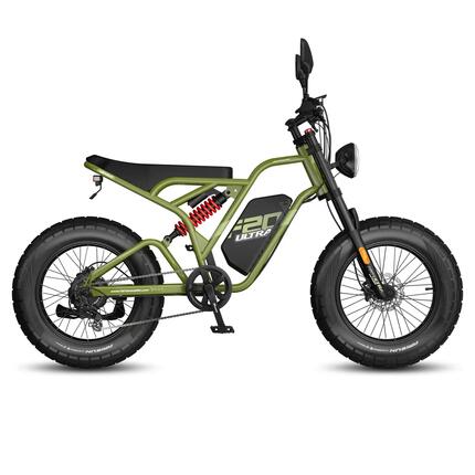 Elektrische fiets voor volwassenen FAFREES F20 Ultra hydraulische rem 20 ba