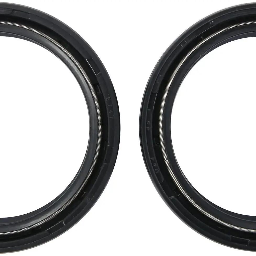 ALL BALLS Racing Fork Seal Set ABR 55-124.