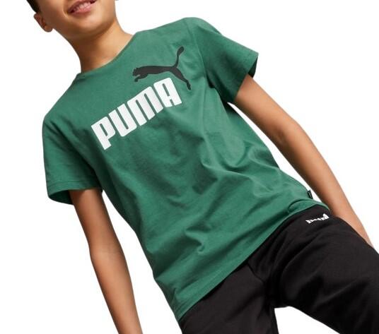 PUMA picture