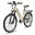 Bicicletă electrică de oraș Fafrees F26 Pro, 250W, baterie de 36V 14.5Ah