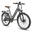 Bicicletă electrică de oraș Fafrees F26 Pro, 250W, baterie de 36V 14.5Ah
