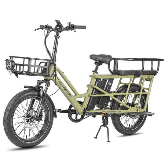 Vélo électrique Fafrees FF20 CUV Longtail, 2 batteries 12 Ah, 250 W
