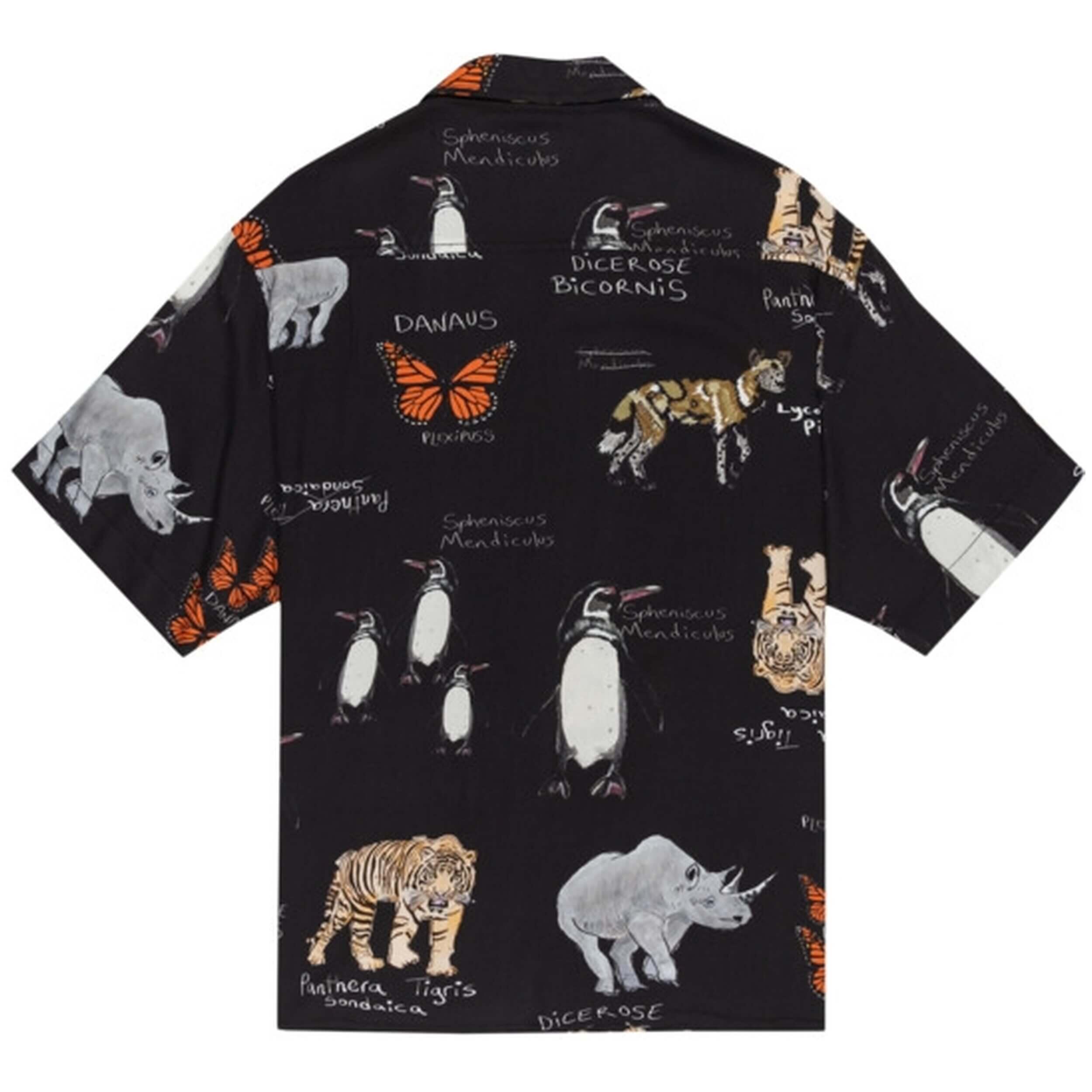 Camisa Element modelo ELYWT00118-KVD6 para homem 3/3