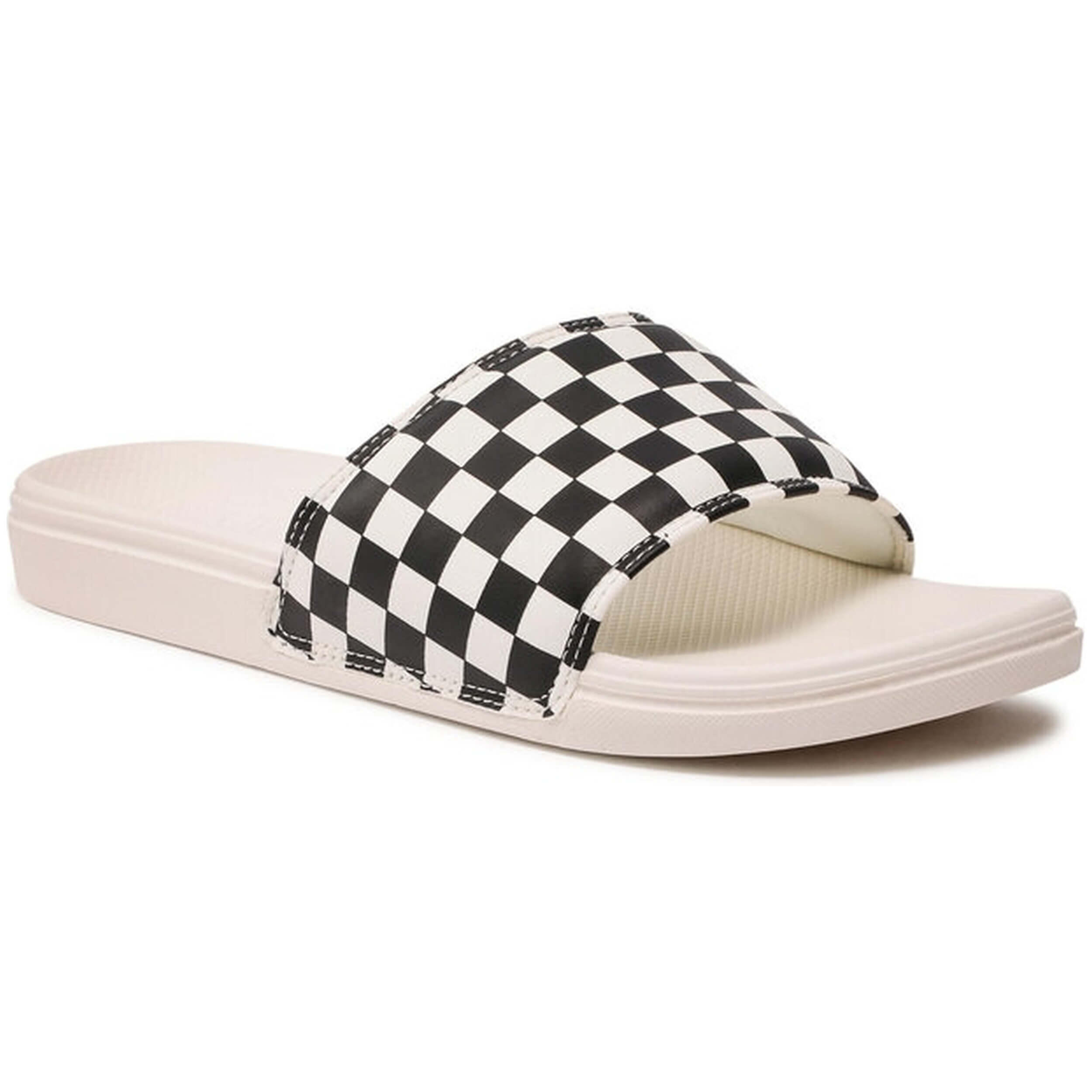VANS picture