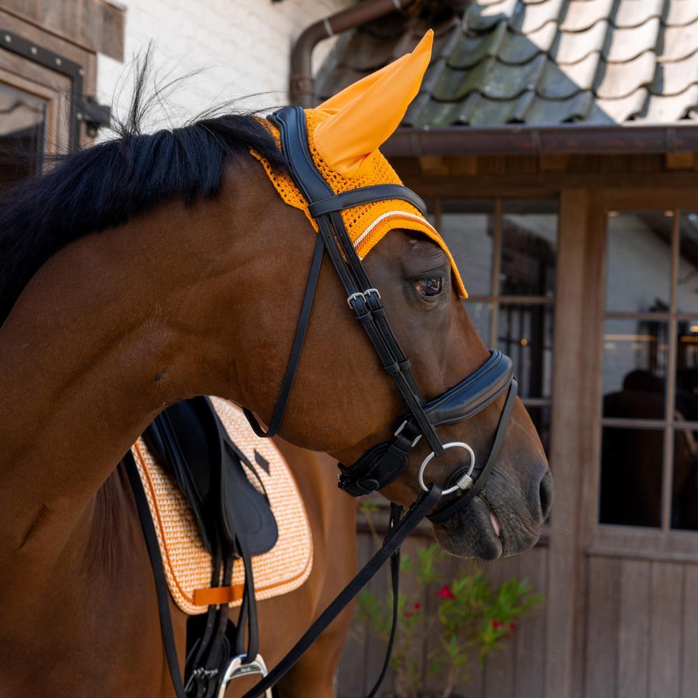 Kurze Samtmütze für Pferde mit Druckmotiven Kentucky Horsewear Wellington 3/3