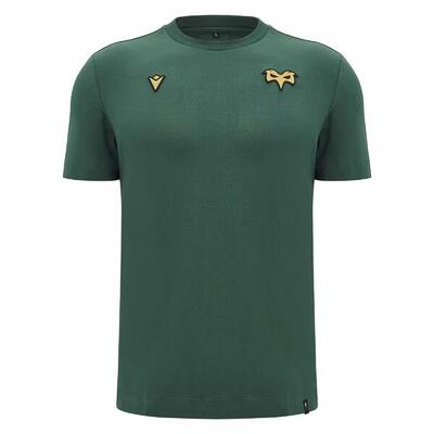 Ospreys shirt travel 2024/25