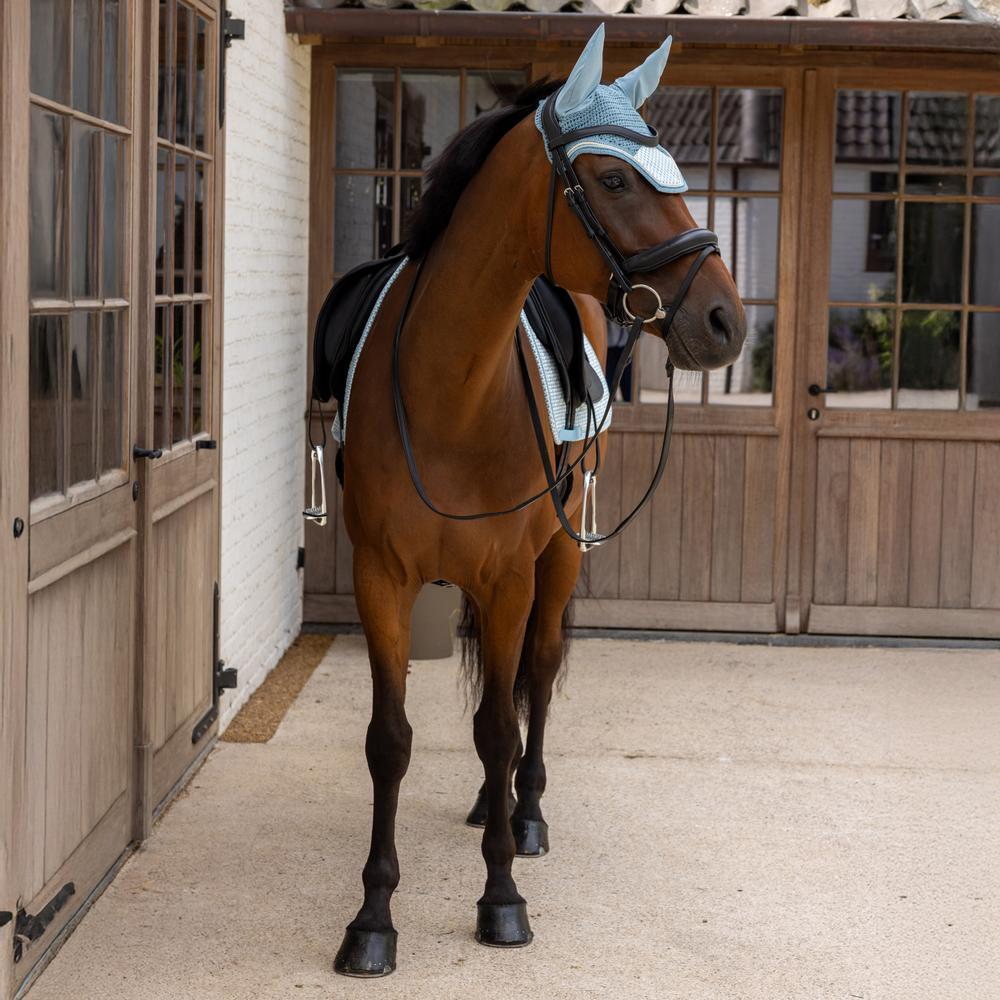 Oornetje Wellington velvet flags printing light blue pony 3/3