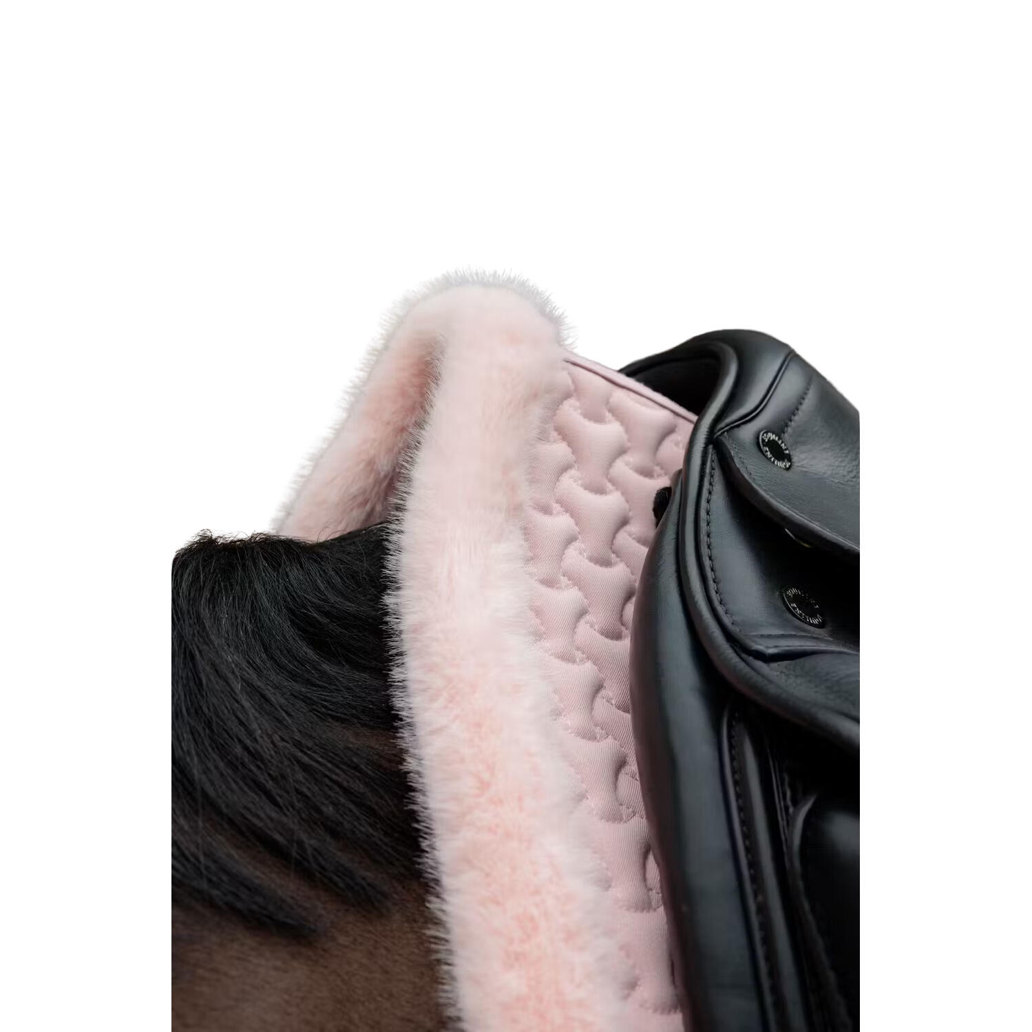Dressur Schabracke Kentucky 2/4