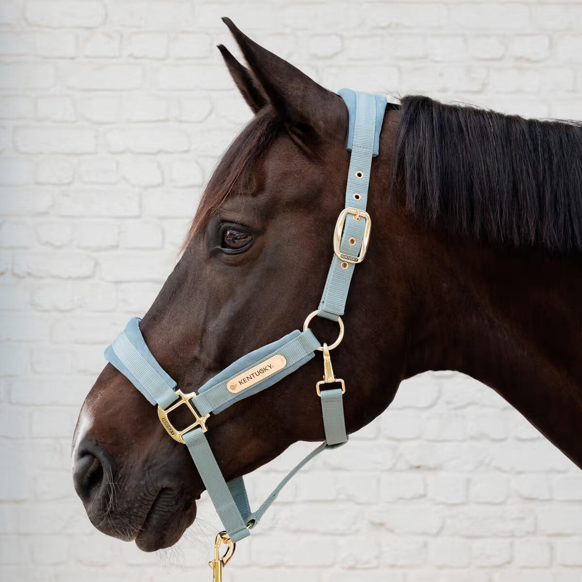 Velvet Halter light blue Full 2/7