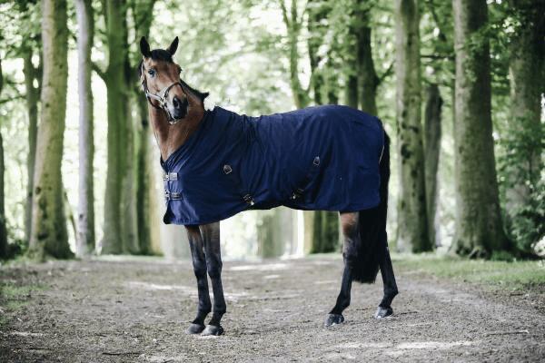 Cotton sheet black 155-6'9 4/7