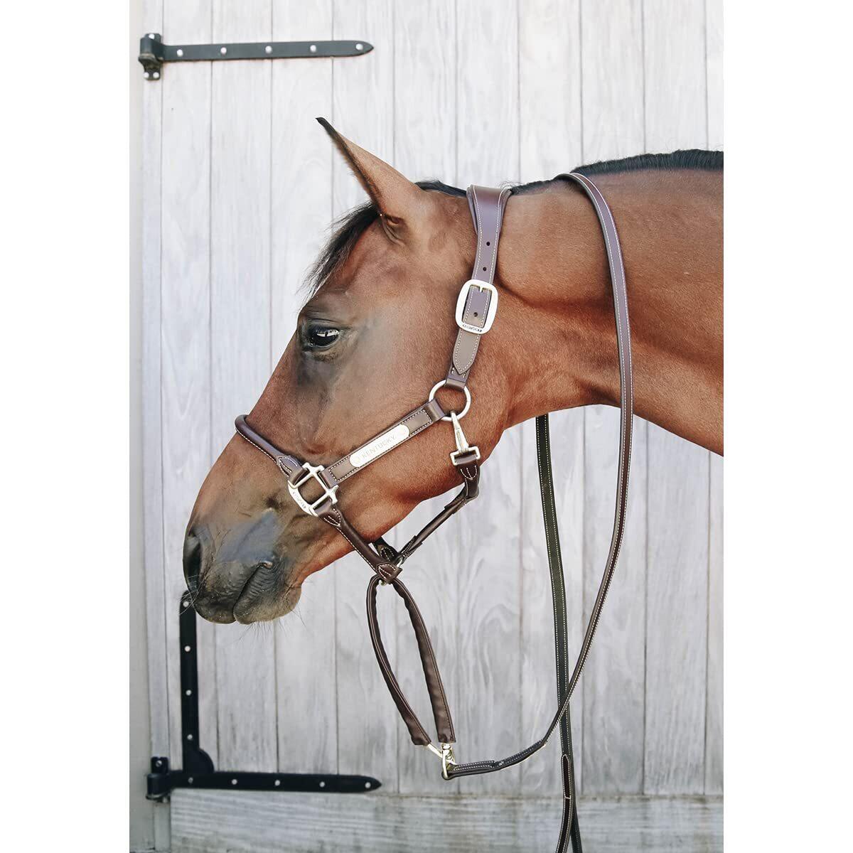 Longe équitation pour cheval de présentation cuir Kentucky 3/7
