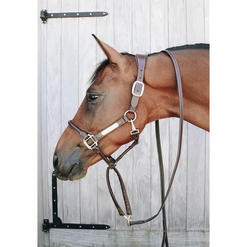 Kentucky Leder Presentatielijn Bruin Met Ketting 270 Cm  -