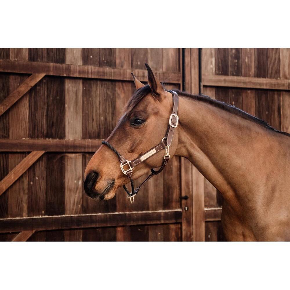 Cabezada Cuadra de cuero para caballos Kentucky Rope 2/4