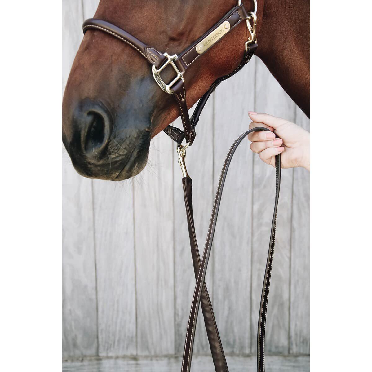 Longe équitation pour cheval de présentation cuir Kentucky 2/7