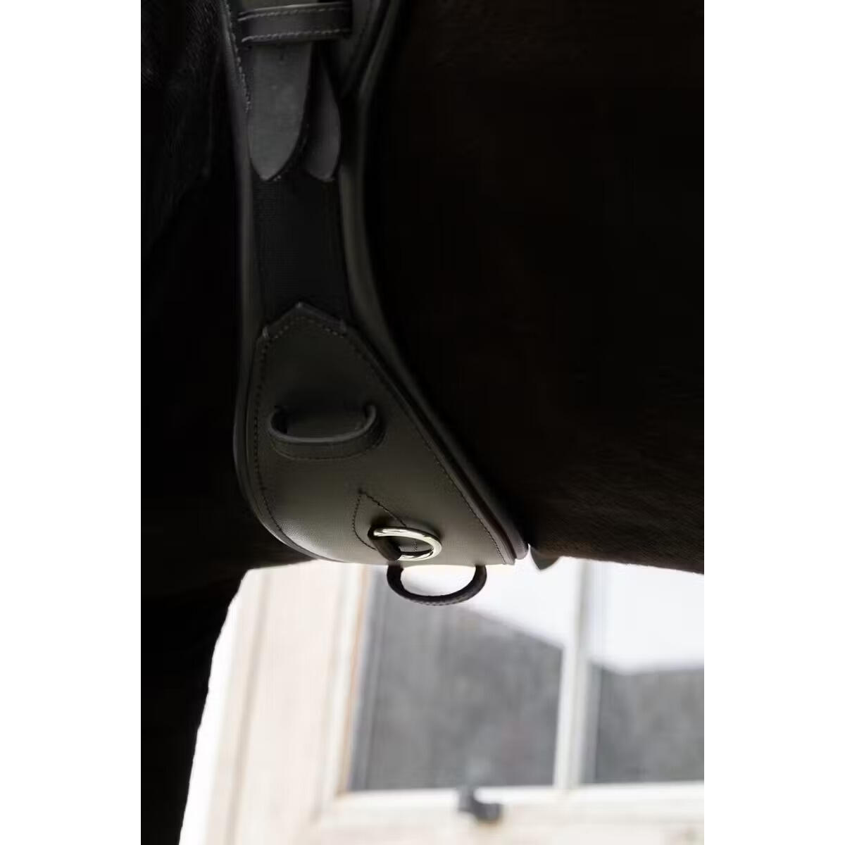Sangle courte pour cheval anatomique Kentucky 2/4