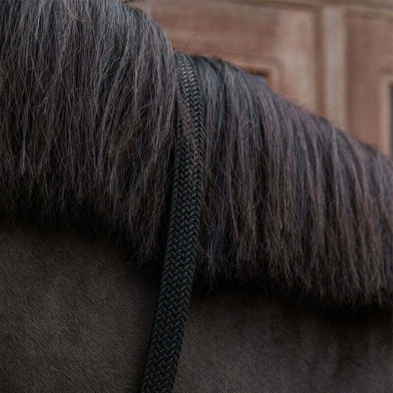Cordón de equitación nylon trenzado Kentucky 4/4