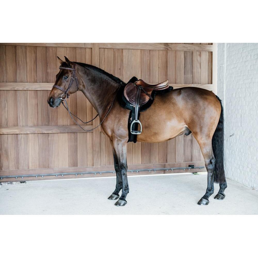 Tapis de selle Hunter vegan mouton jumping noir 6/6