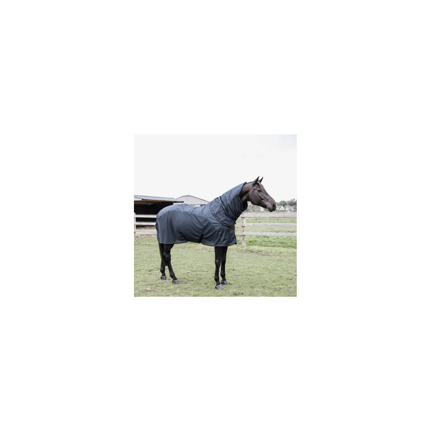 Combo de manta impermeable contra la mosca del caballo Kentucky Classic 0 g 2/5