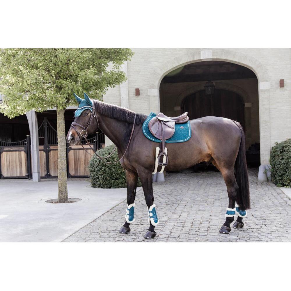 Vegan horse fetlocks for sheep Kentucky 3/7