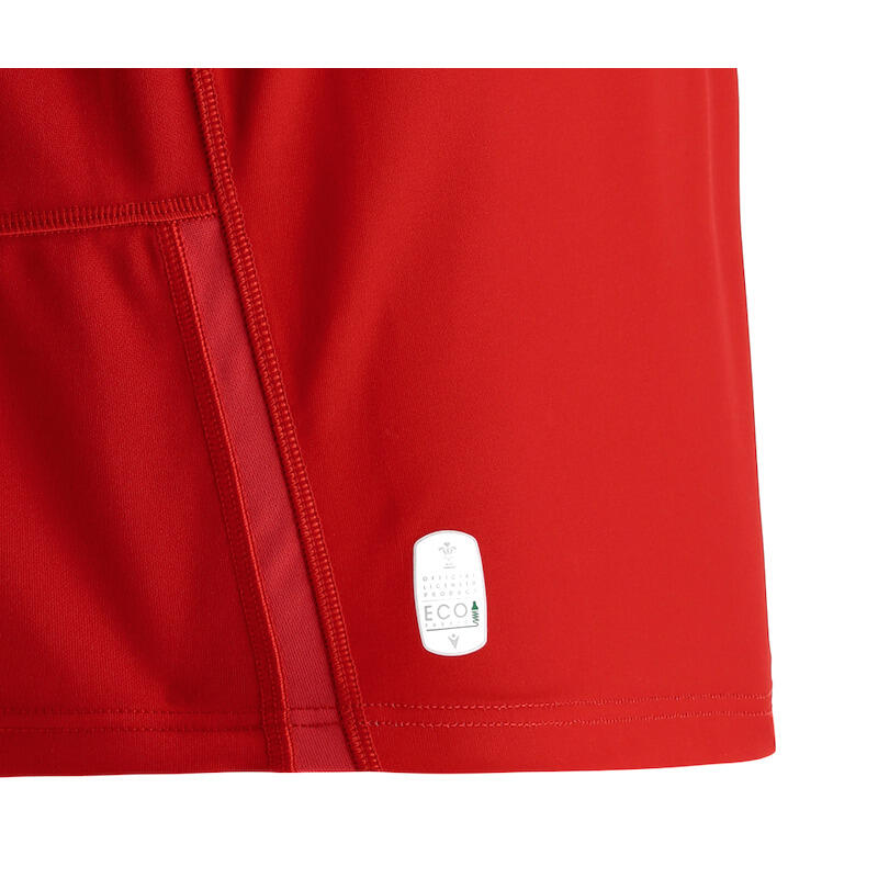 Camisola Principal Pays de Galles poly 2021/23 6/6