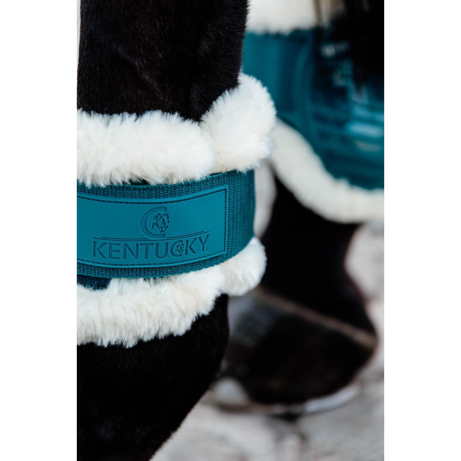 Vegan horse fetlocks for sheep Kentucky 4/7