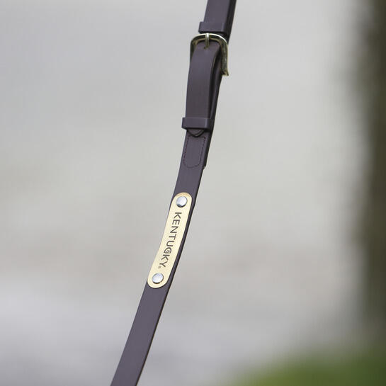 Longe équitation pour cheval de présentation cuir Kentucky 6/7