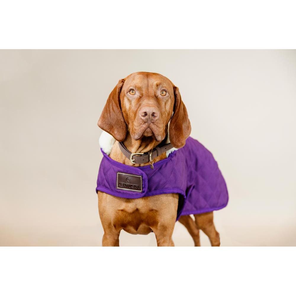 Manteau pour chien Kentucky Original 160g 3/7