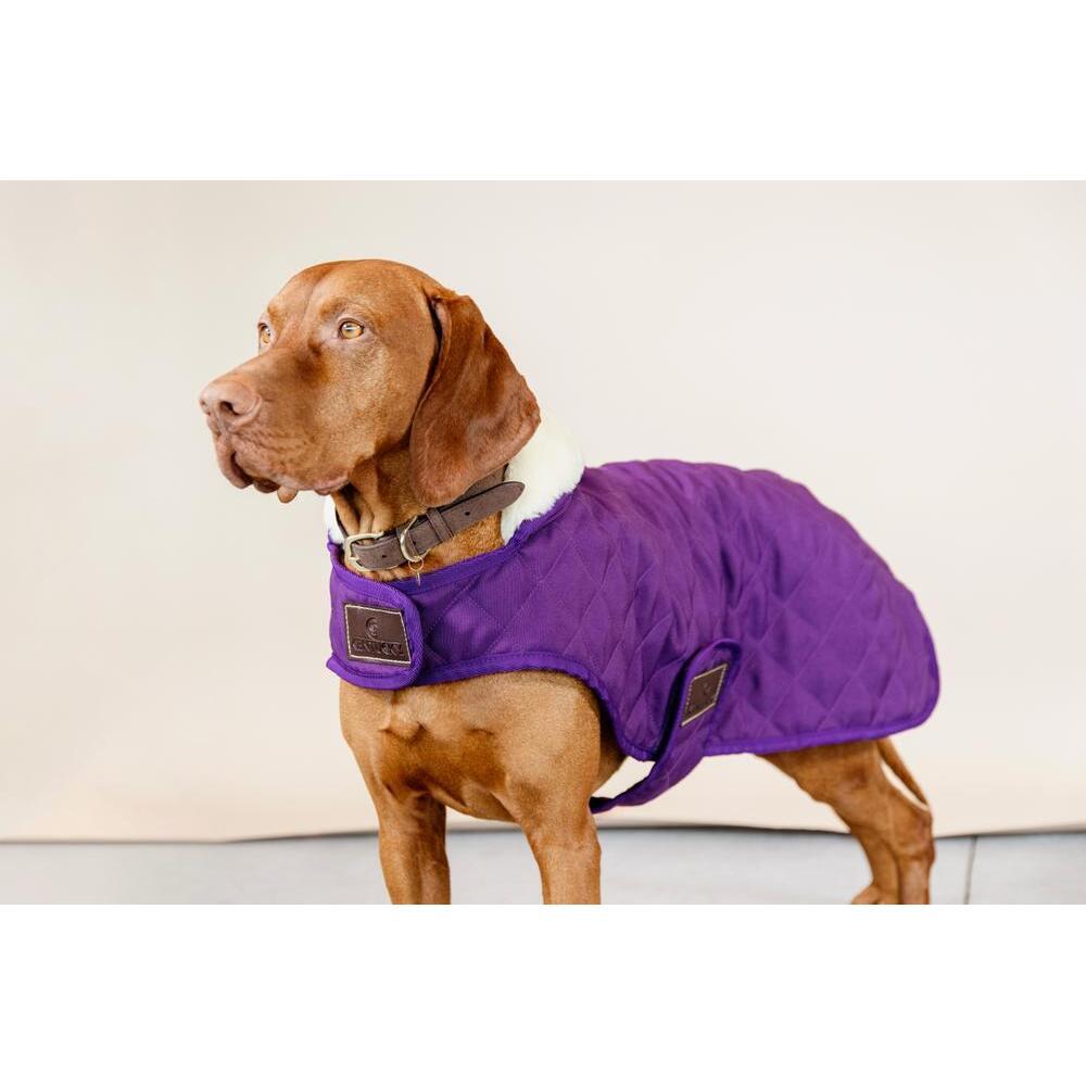 Manteau pour chien Kentucky Original 160g 2/7
