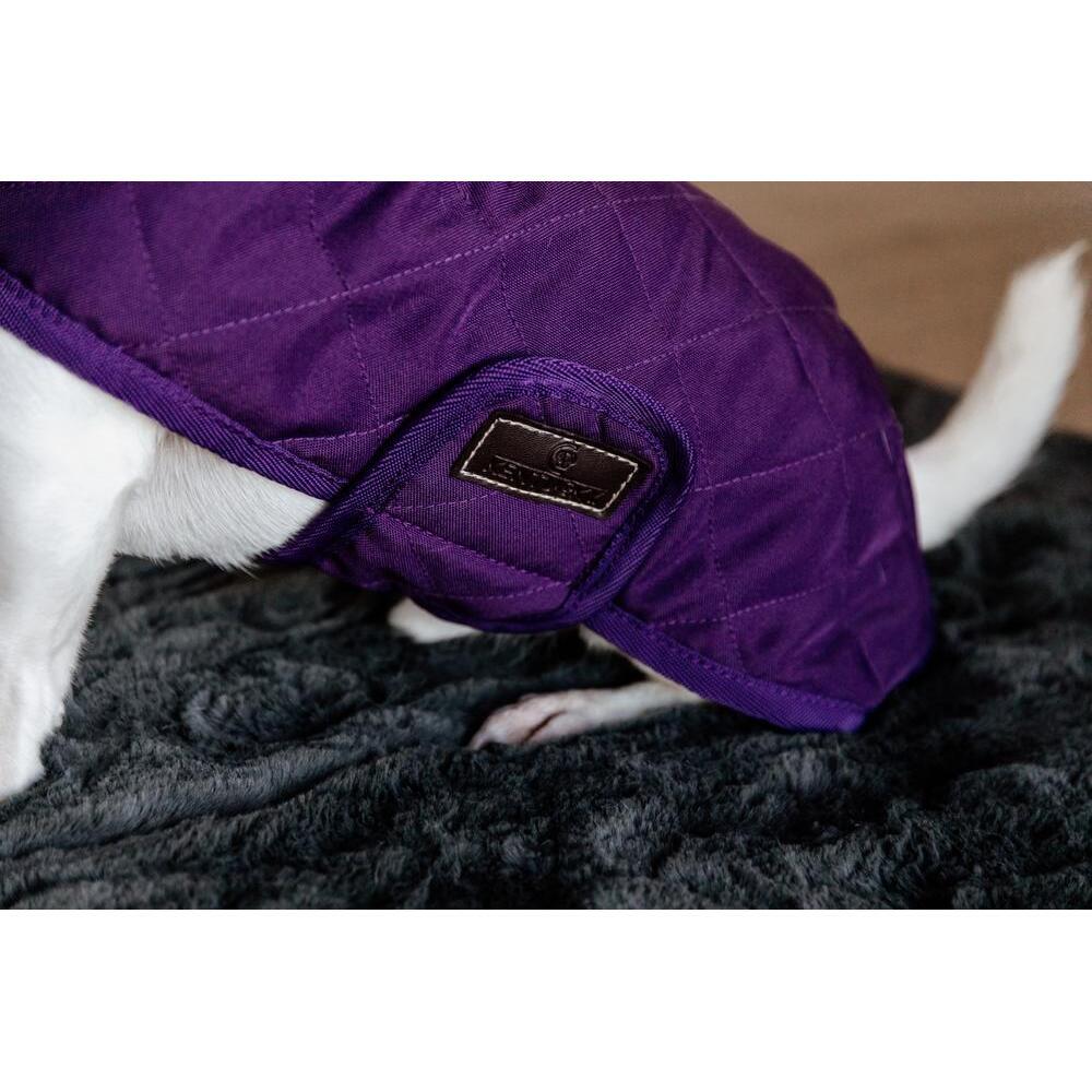 Manteau pour chien Kentucky Original 160g 5/7