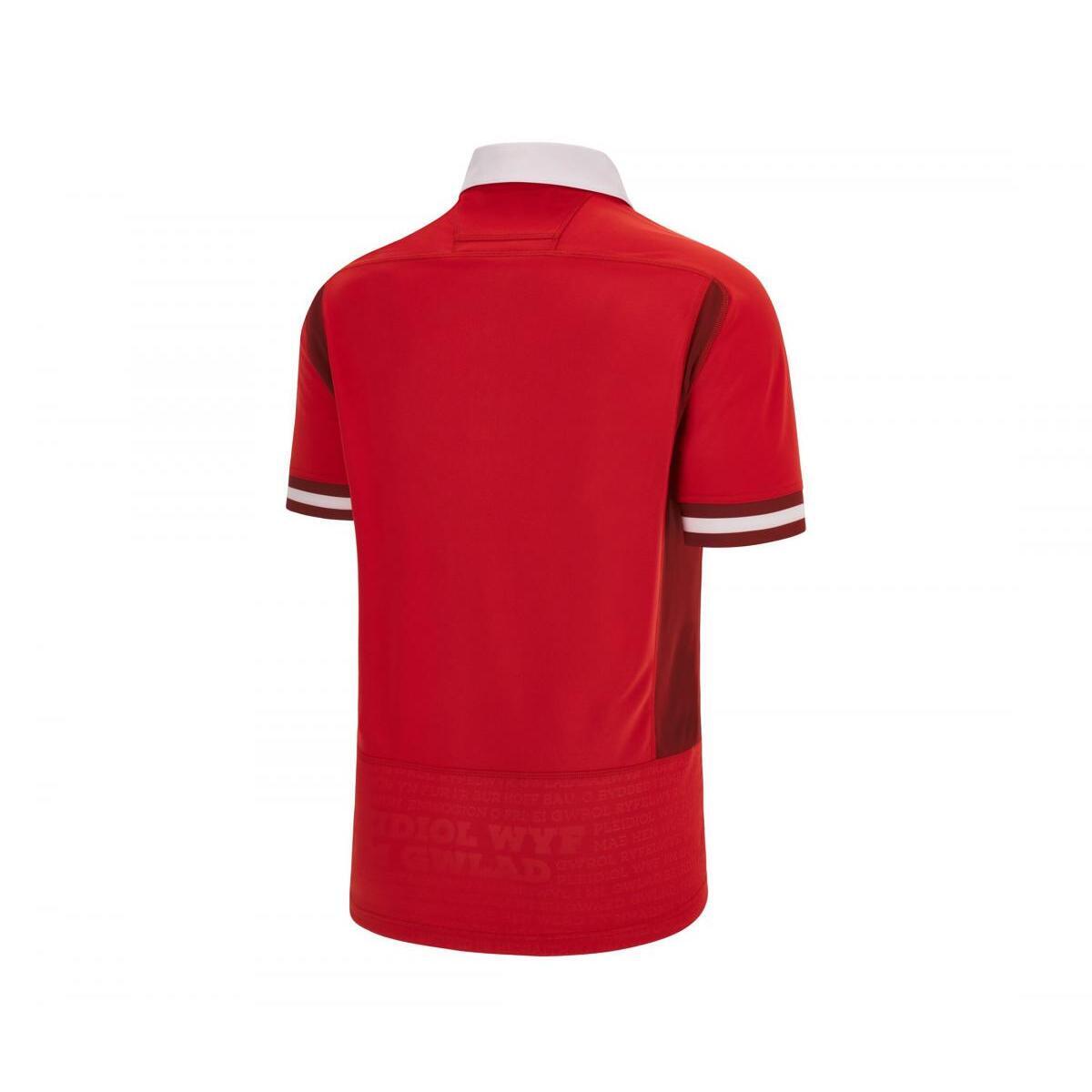 Camiseta primerra equipaciónde la Copa Mundial de Rugby 2023 Gales 2/6
