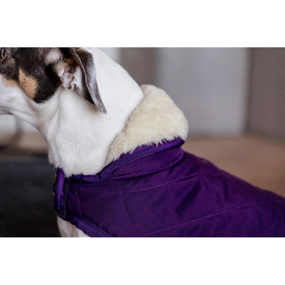 Manteau pour chien Kentucky Original 160g 4/7