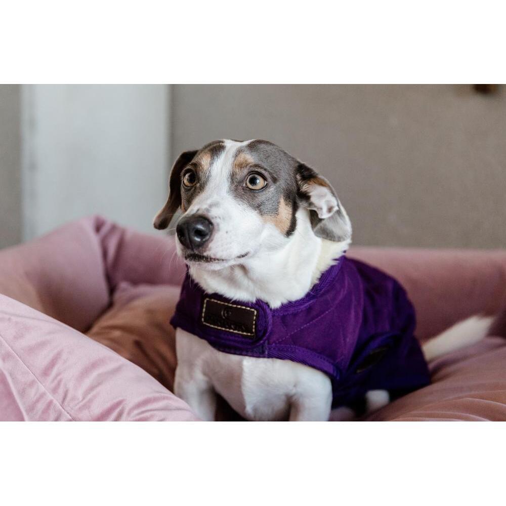 Manteau pour chien Kentucky Original 160g 6/7