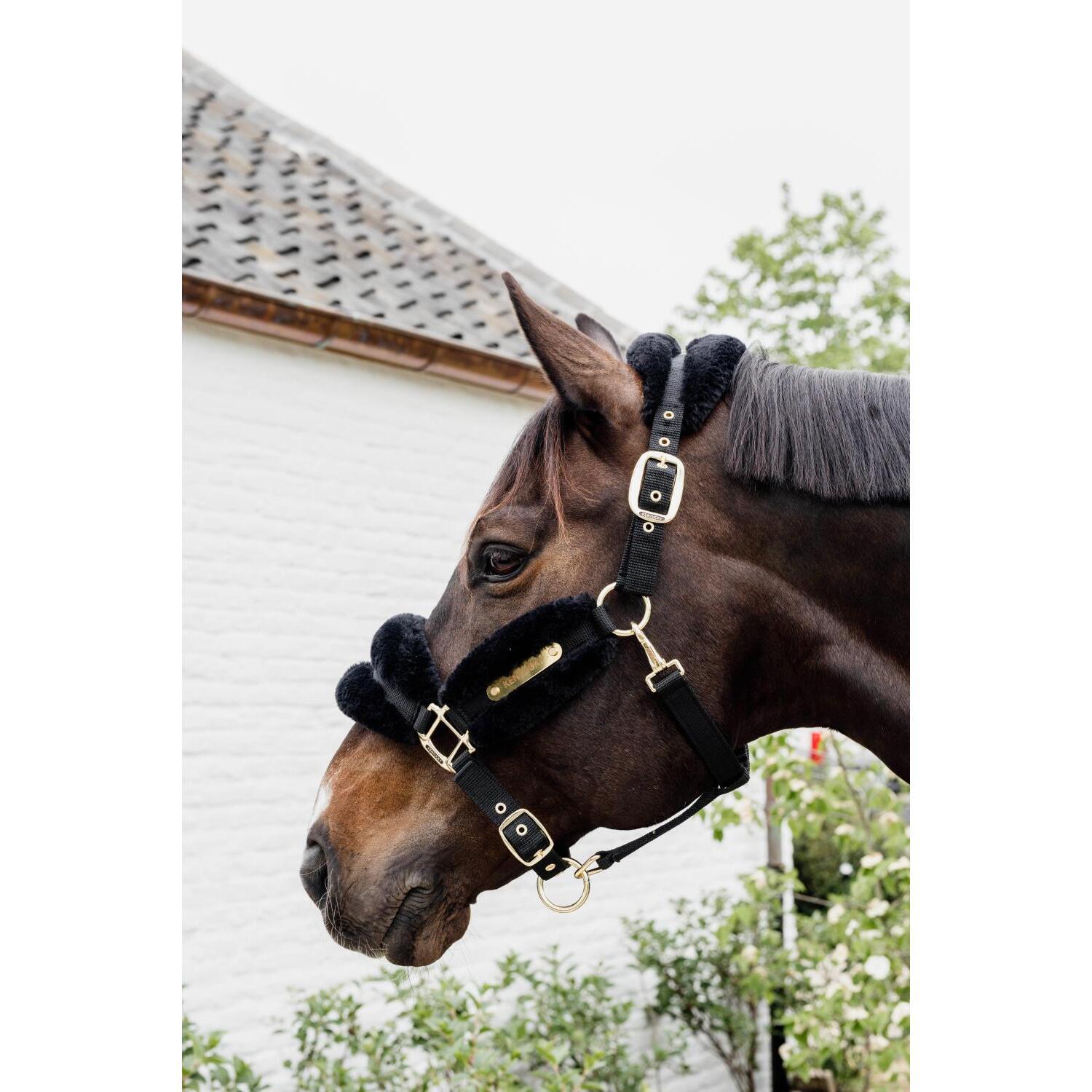 Licol nylon mouton soft noir pony 2/5
