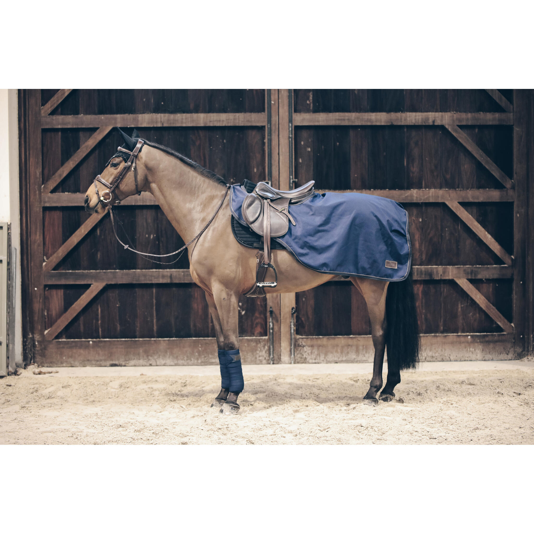 Coprireni per cavalli Kentucky All Weather - 160 g 2/5