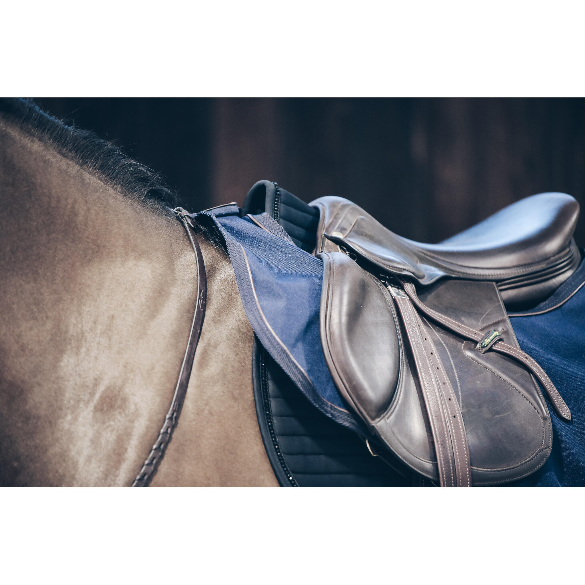 Coprireni per cavalli Kentucky All Weather - 160 g 4/5