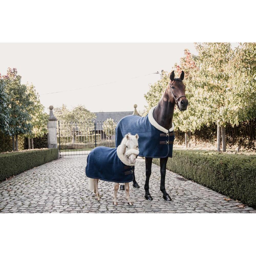 Coperta di presentazione per cavalli Kentucky Show Heavy 7/7