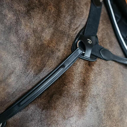 Collier de chasse pour cheval Dy'on NE